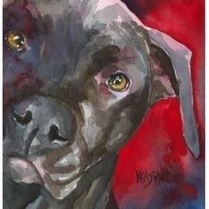 Meet your Posher, Sheryl